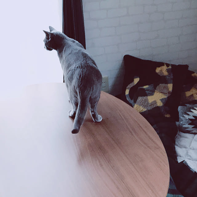 yumi.snoopさんの部屋