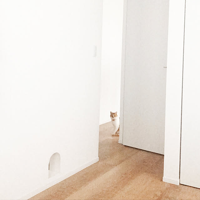 Yさんの実例写真