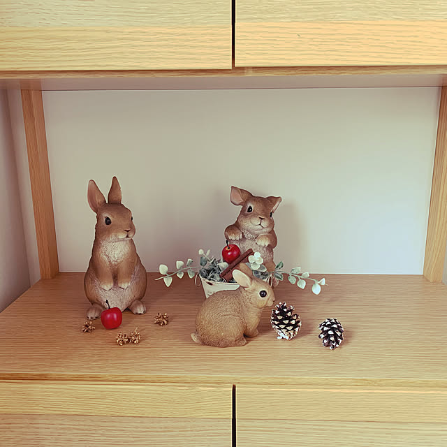 kinakodayoさんの実例写真