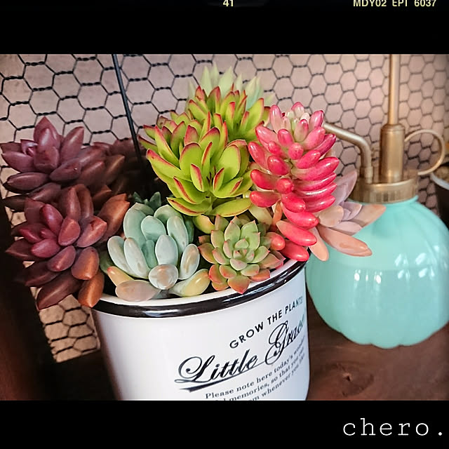 chero.さんの実例写真