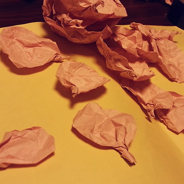 ooriikaaさんの実例写真