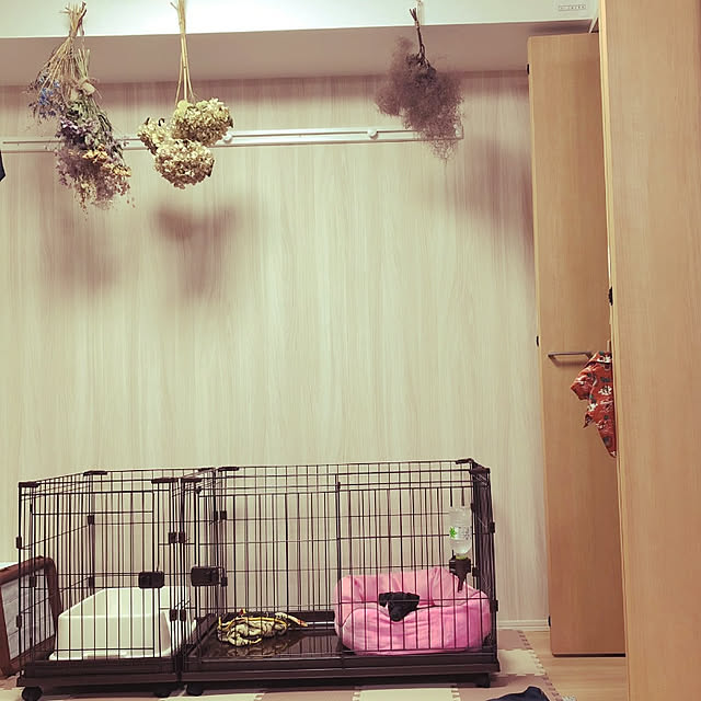lalaさんの実例写真