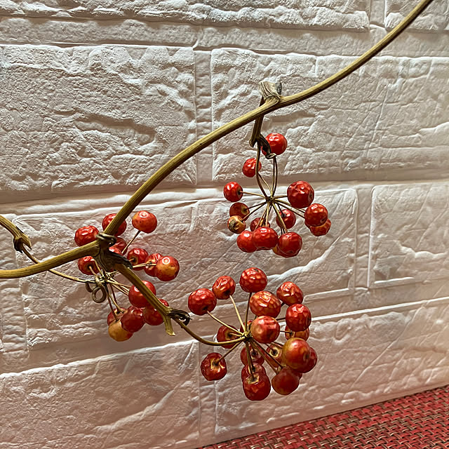 ikubooさんの部屋