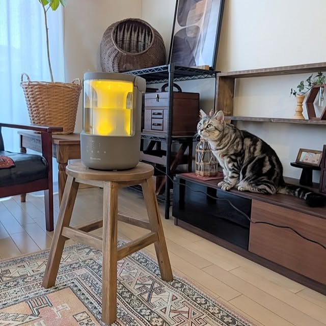 lovepeaceさんの実例写真