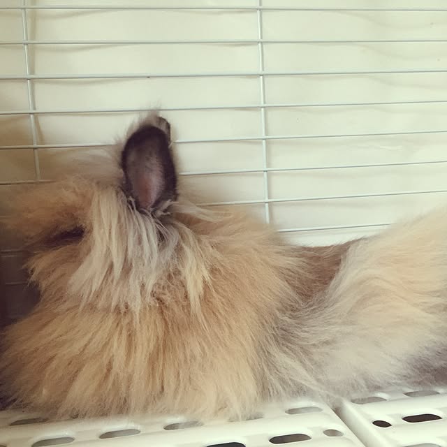 mさんの実例写真