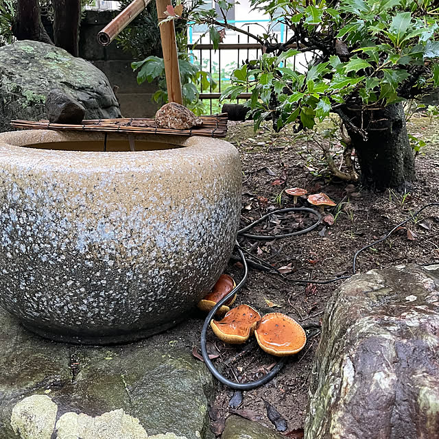 shin0719さんの実例写真