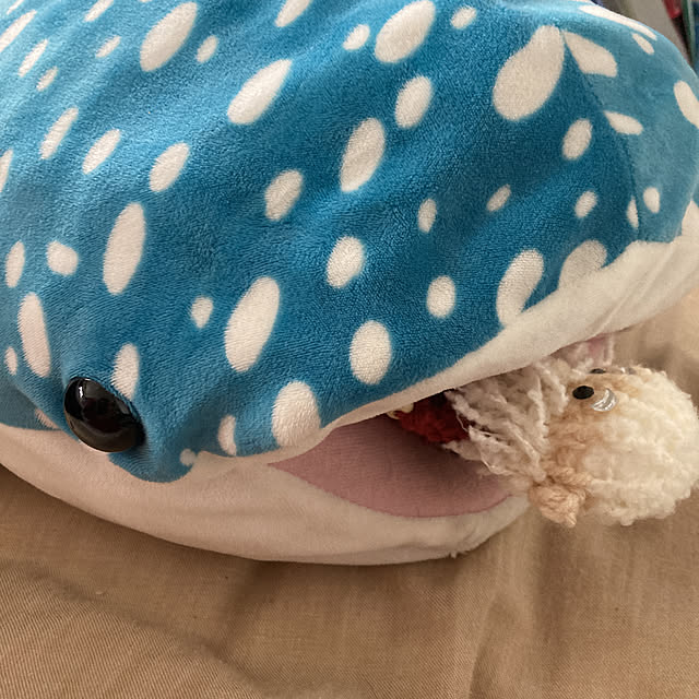 manduonmaさんの実例写真