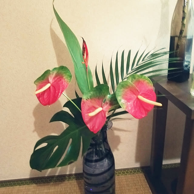 satokichiさんの実例写真