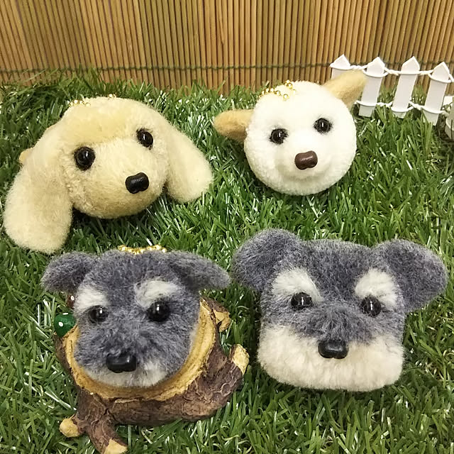 Kazuさんの実例写真