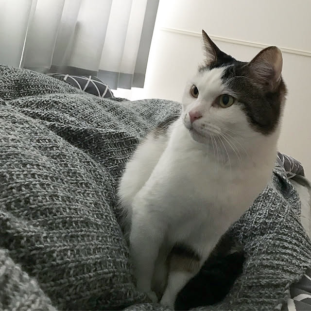 Kさんの実例写真