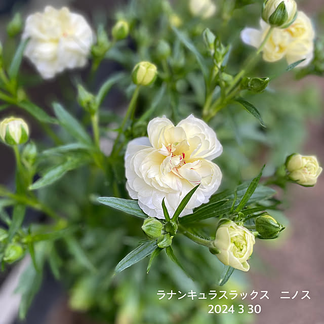 buchiさんの部屋