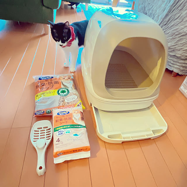 moolさんの実例写真