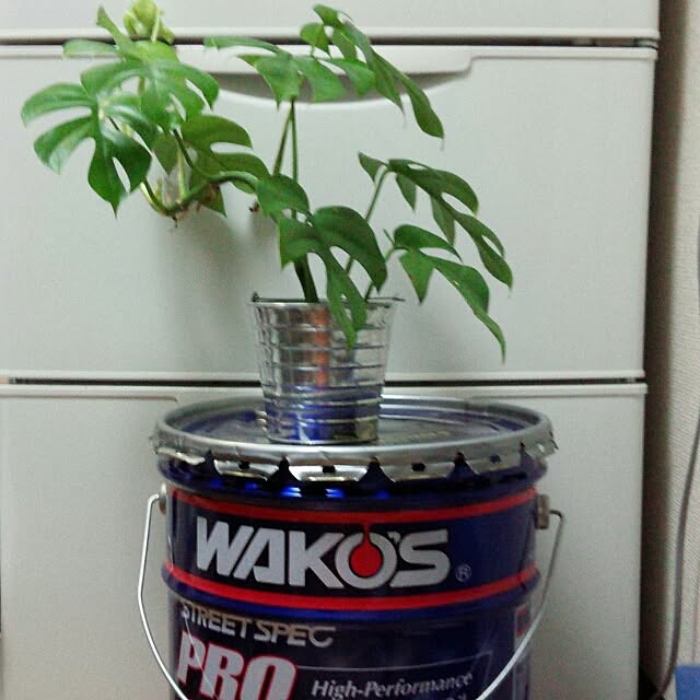 rk5kuuさんの実例写真