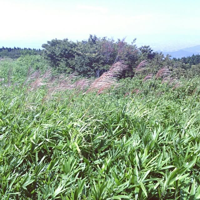 akr29さんの実例写真
