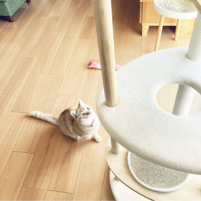 m.k.mさんの実例写真