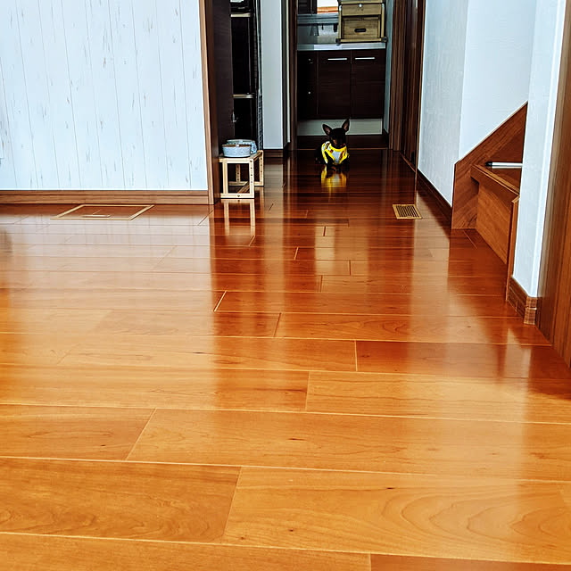 shizuponさんの実例写真