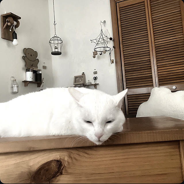 Ohigeさんの実例写真