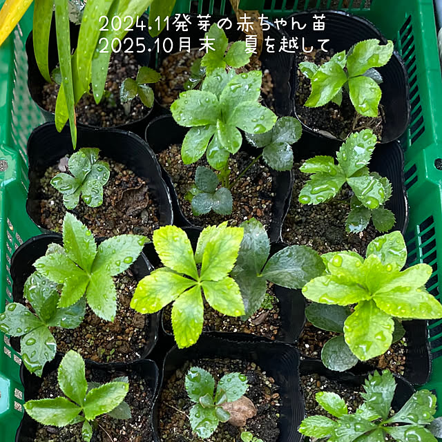 buchiさんの部屋