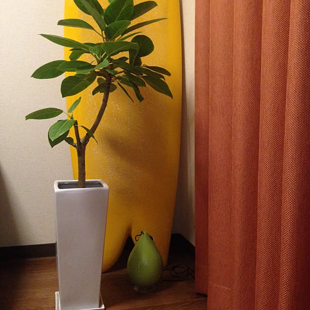 choco911さんの実例写真