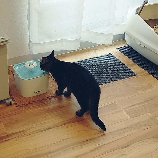 hihaさんの実例写真