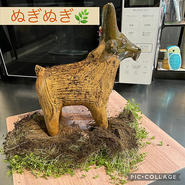 aureaさんの実例写真