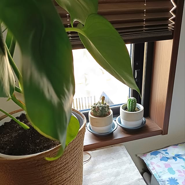 tomo5さんの実例写真