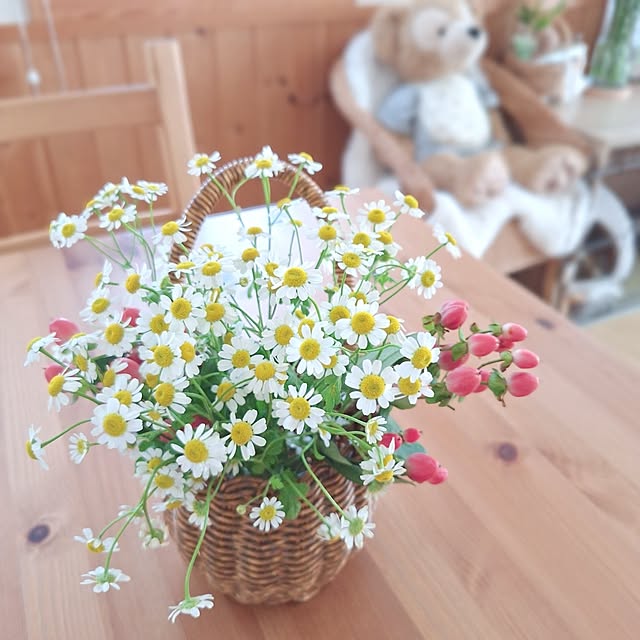 Blancheさんの部屋
