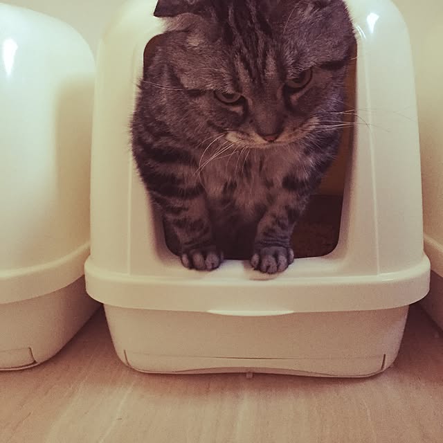miyukoさんの実例写真