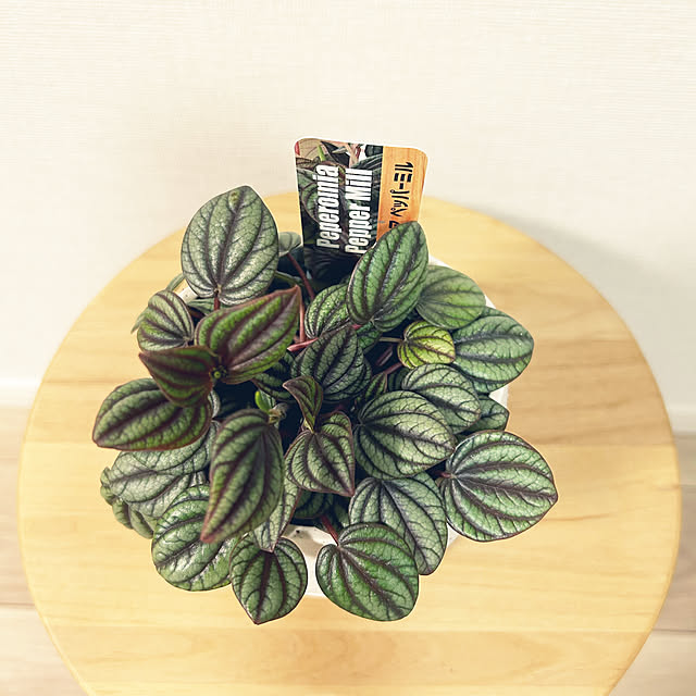 yoyoyoさんの部屋