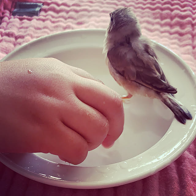 hayuchiさんの実例写真