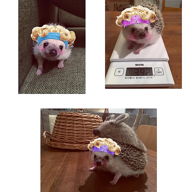 saokoさんの実例写真