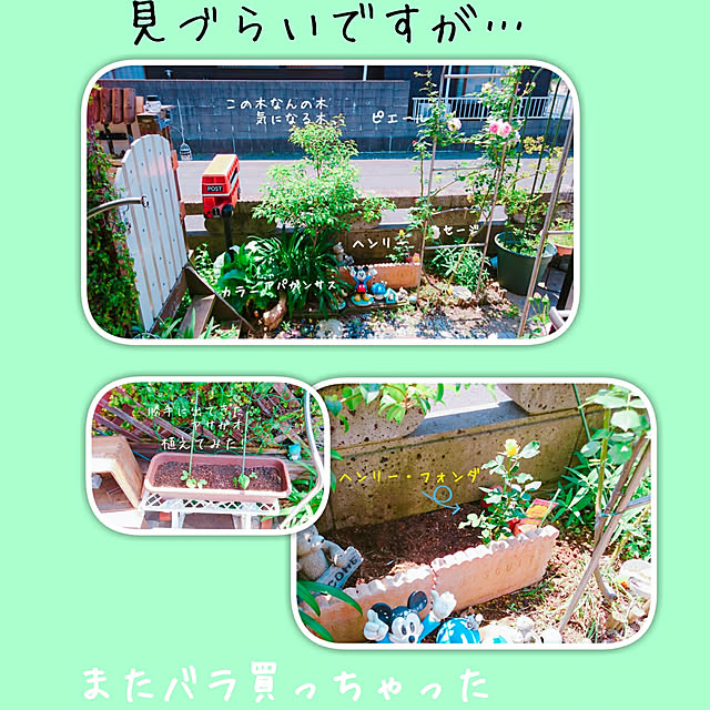 maiさんの実例写真