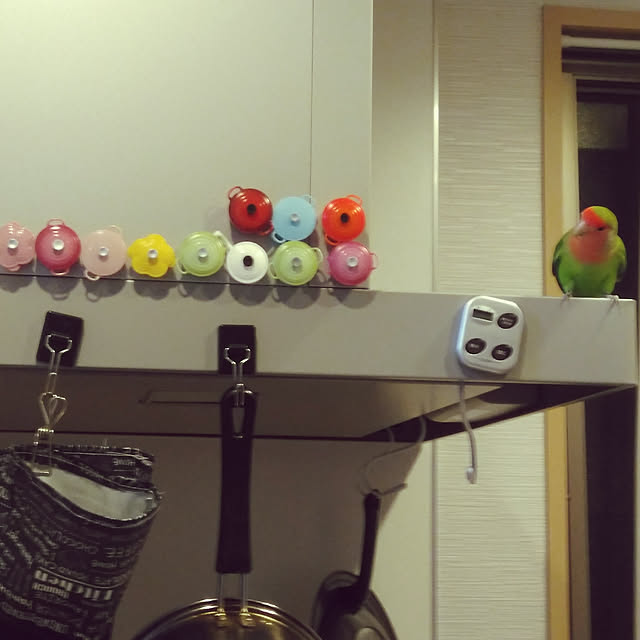 toratanさんの実例写真