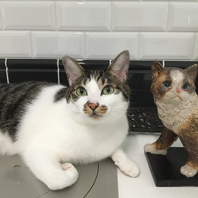 yuchiさんの実例写真