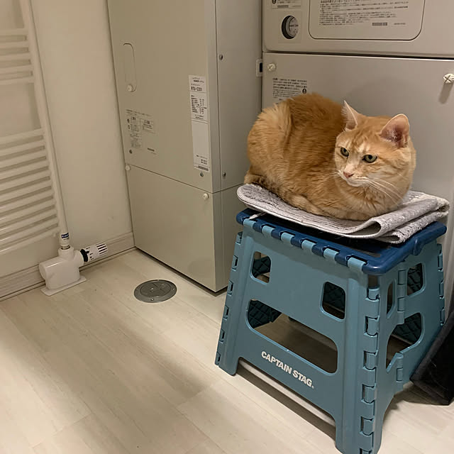 mikeume7さんの実例写真