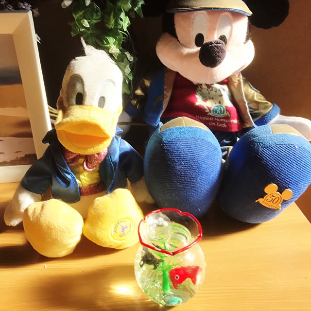Atsukoさんの実例写真
