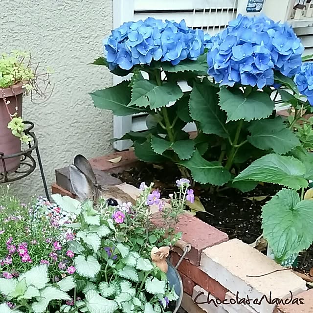 実例写真