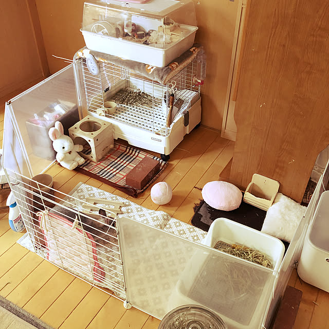 izumi1993426さんの実例写真