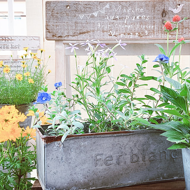 nikohanaさんの実例写真