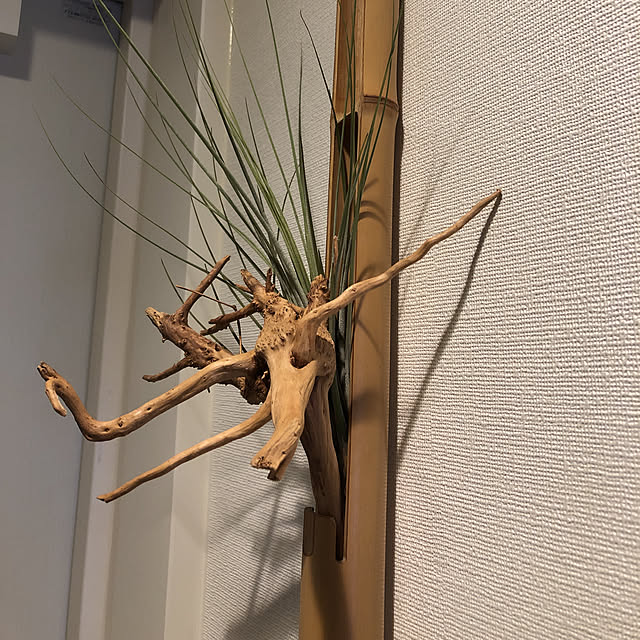 mutsuさんの実例写真