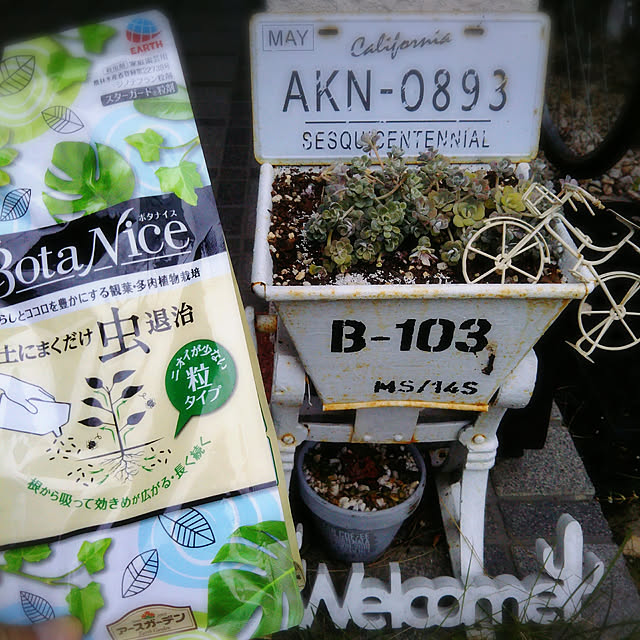 hononoさんの実例写真