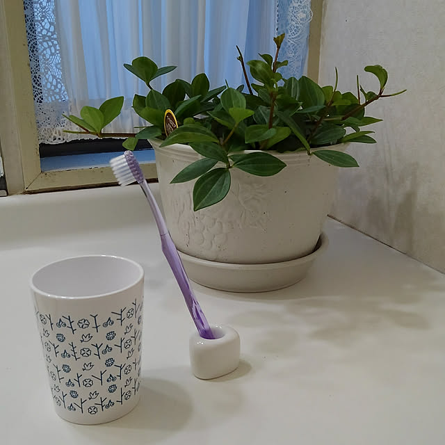 Renさんの実例写真