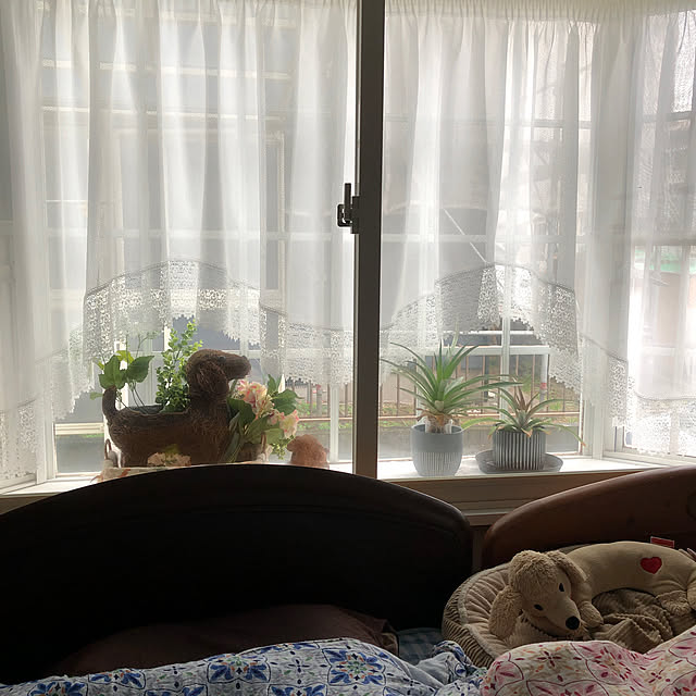 mikaさんの実例写真