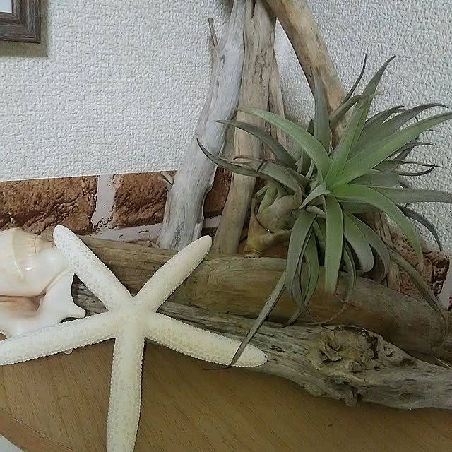 koto.ohanaさんの実例写真