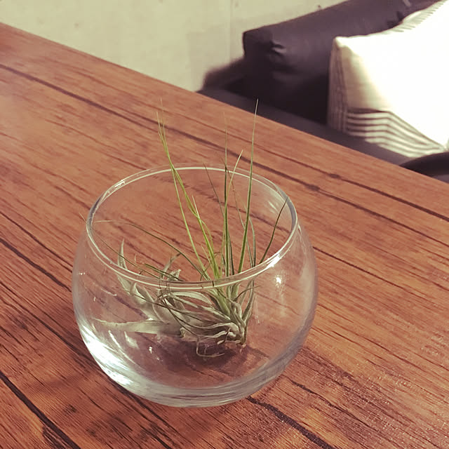 kahoさんの実例写真
