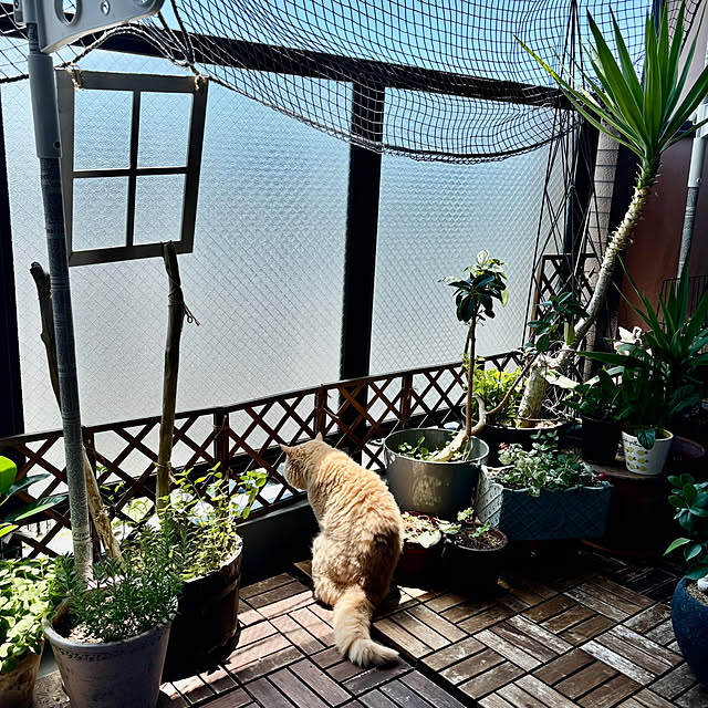 naokoさんの部屋