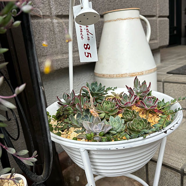 momocchiさんの部屋