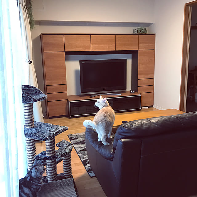 hiyupan88さんの実例写真