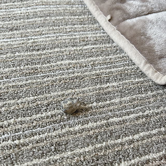 reichelさんの部屋