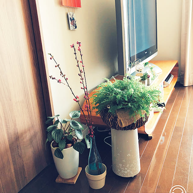 実例写真
